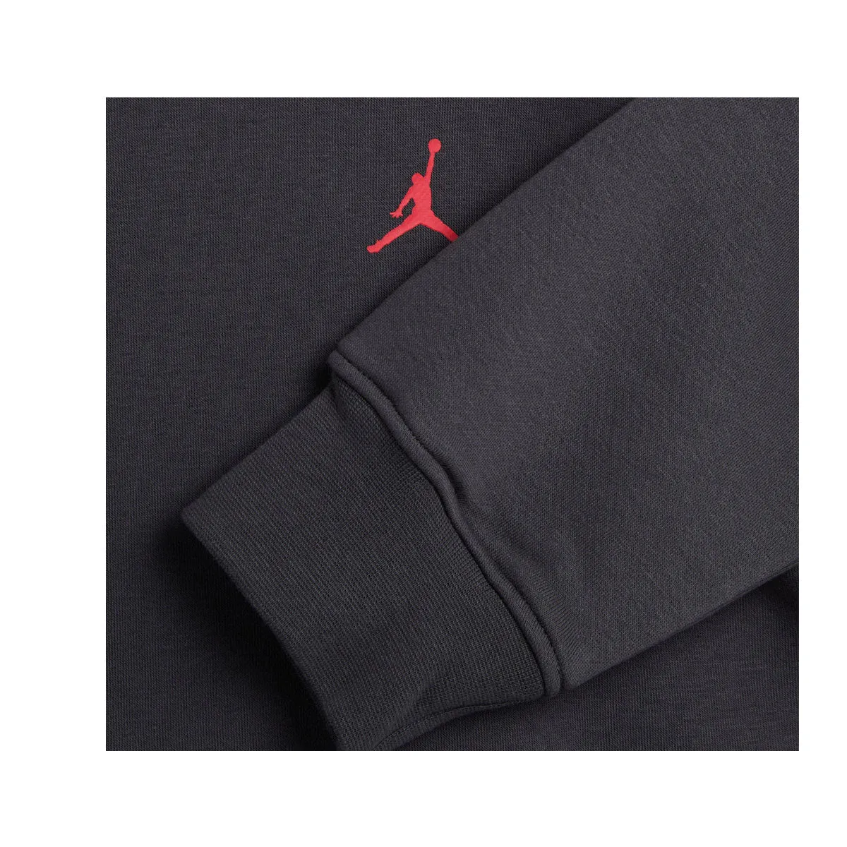 Air Jordan Artist Series By Darien Birks Men's Fleece Hoodie