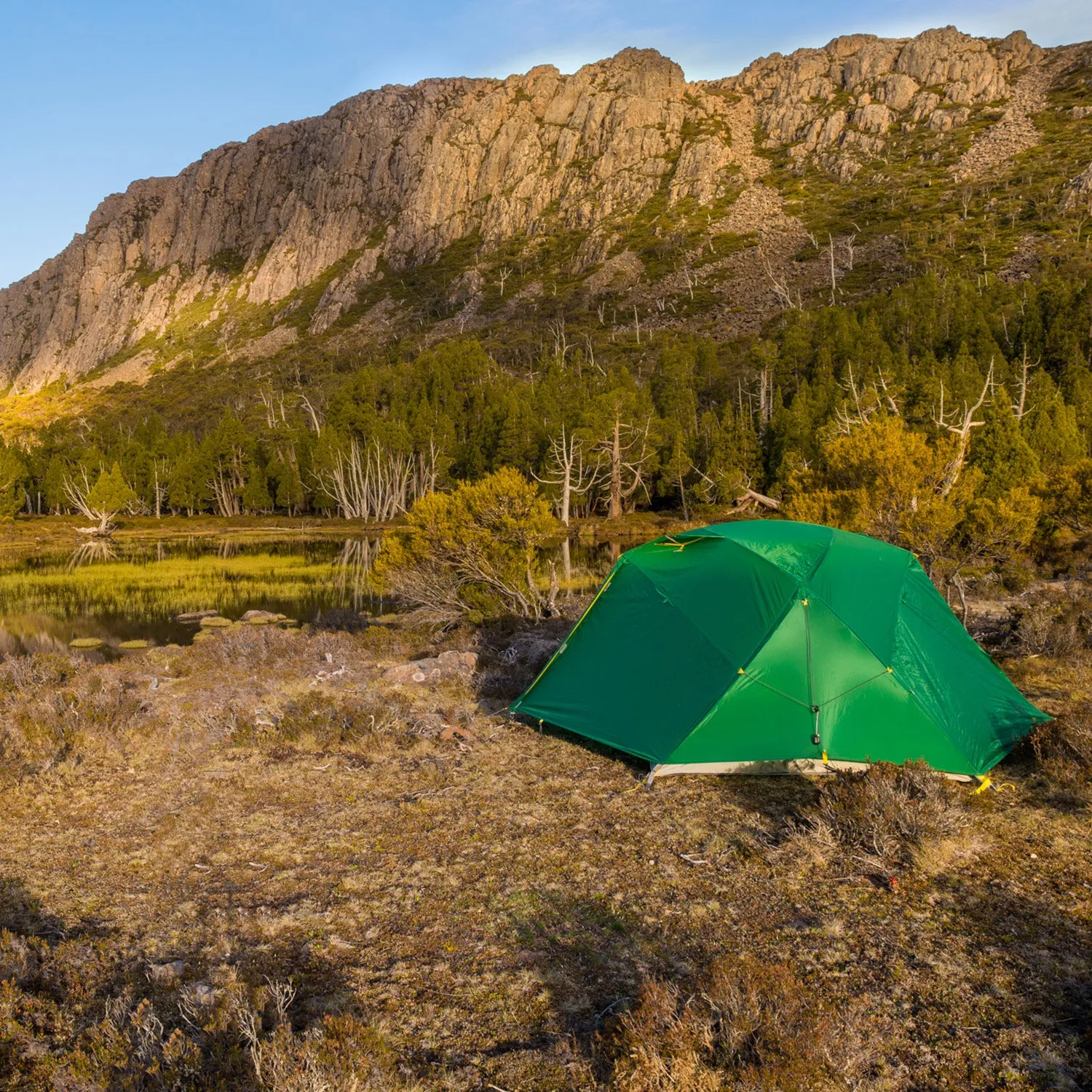 Dragonfly Tent Forest Green