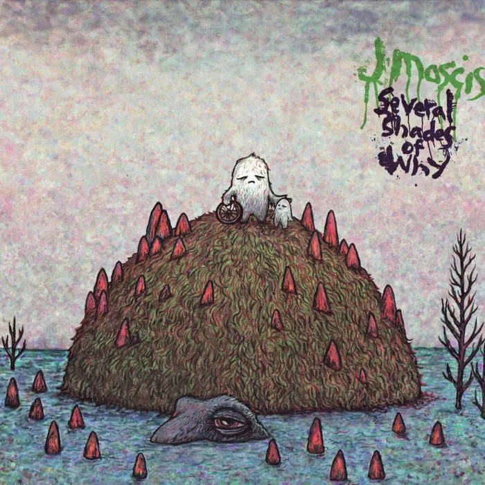 J Mascis ~ Several Shades Of Why